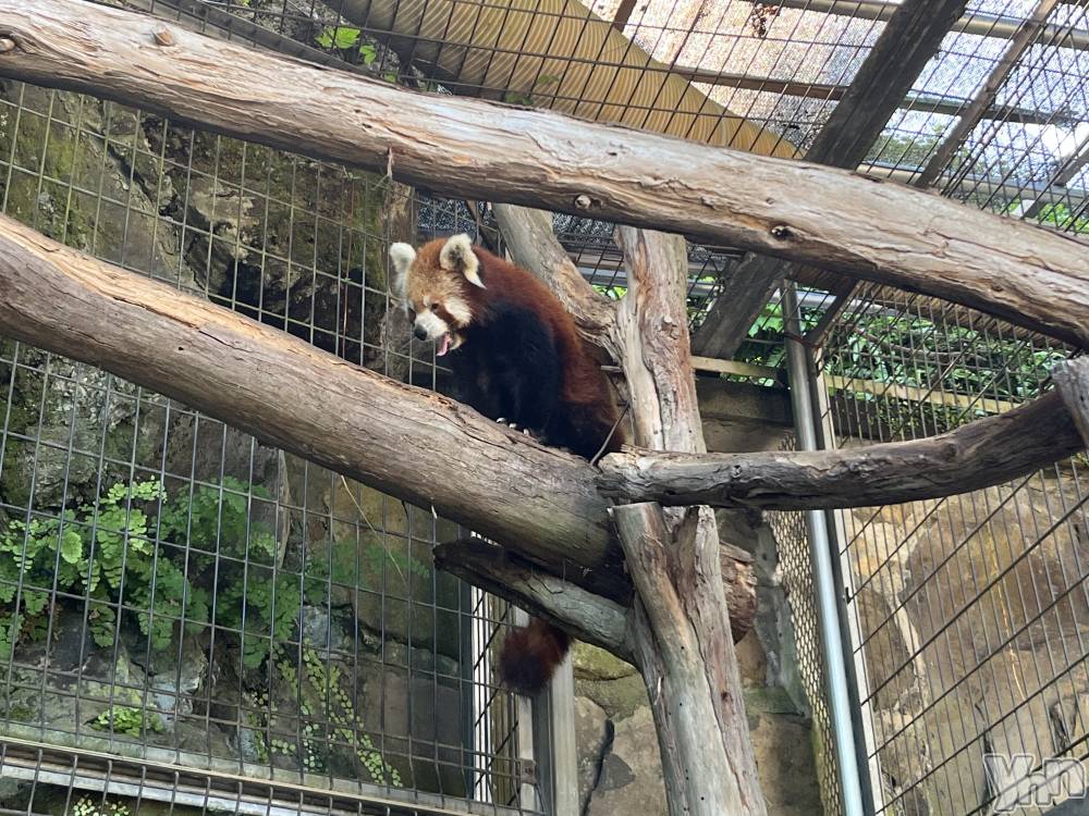 ���ܥ���Х��顦�����CLUB WONDER(����� ������) �椦���8��15���̥�֥�����🙇🏻‍��️��