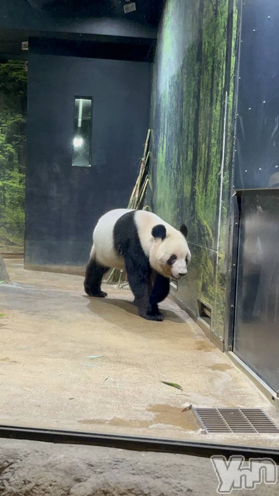 ���ܥ���Х��顦�����CLUB WONDER(����� ������) �椦���9��10���̥�֥����֤��Ф���