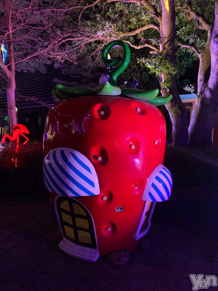 ���ܥ���Х��顦�����CLUB WONDER(����� ������) �椦���11��22���̥�֥����֤��ȣ�����