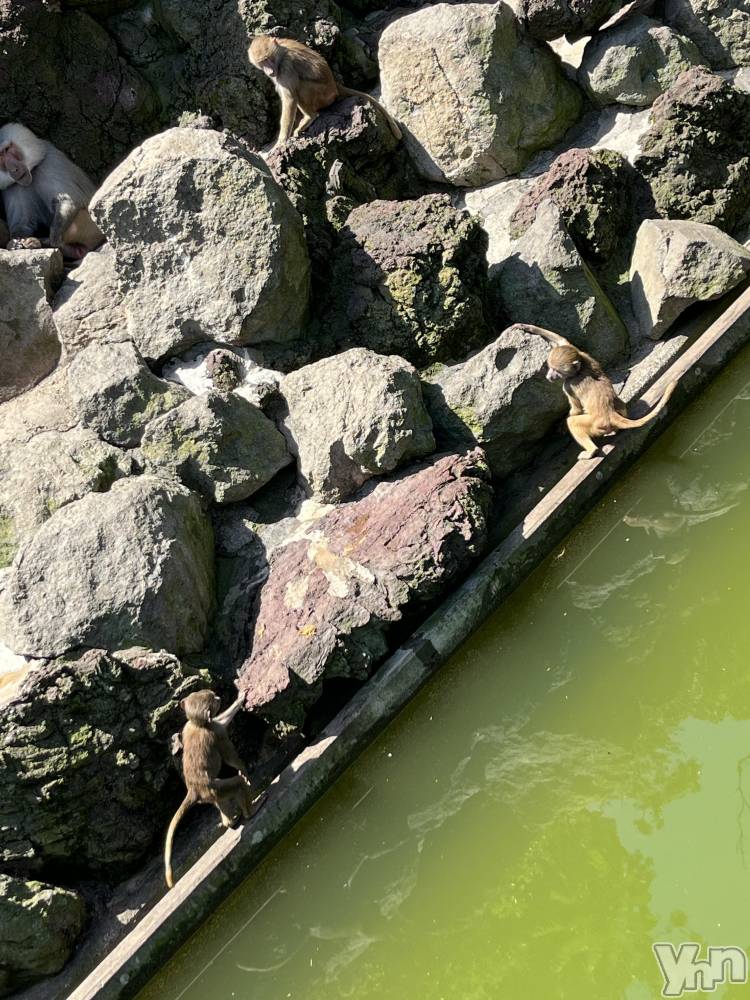 ���ܥ���Х��顦�����CLUB WONDER(����� ������) �椦���12��9���̥�֥����֤褯��������