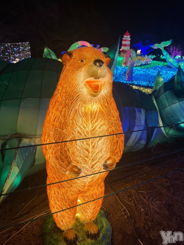 ���ܥ���Х��顦�����CLUB WONDER(����� ������) �椦���12��21���̥�֥����֤�����