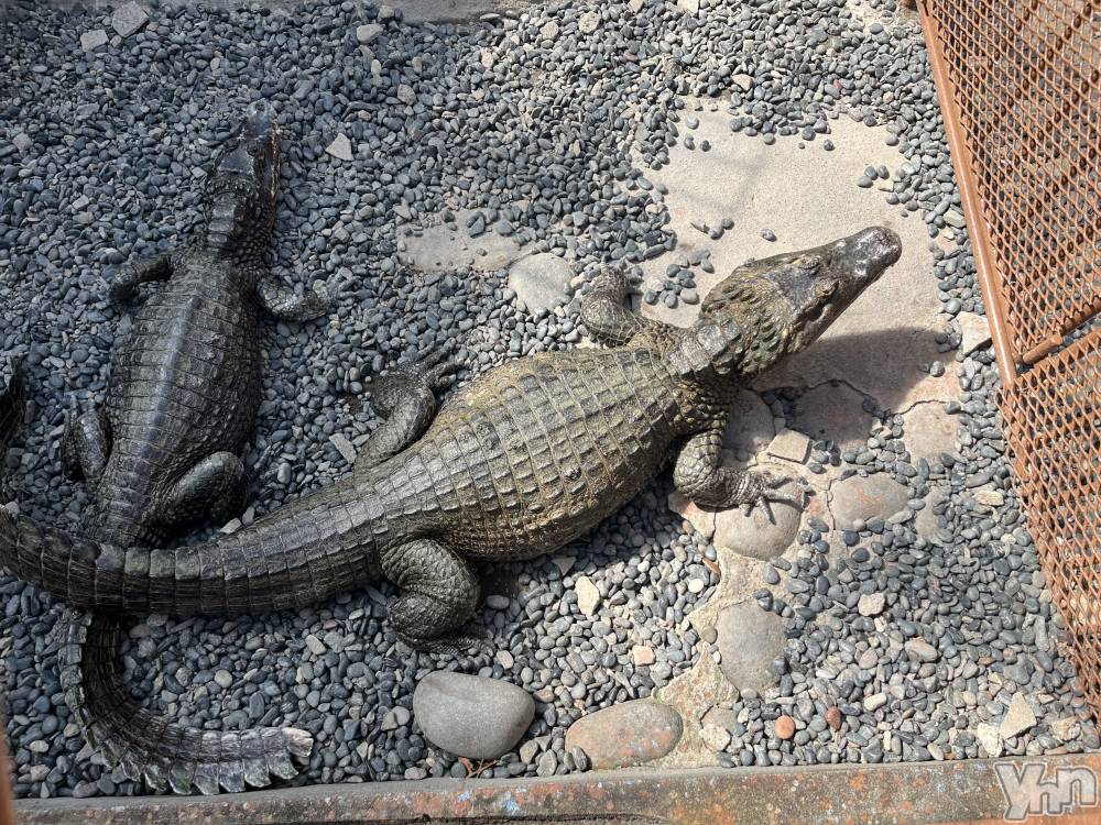 ���ܥ���Х��顦�����CLUB WONDER(����� ������) �椦���12��23���̥�֥�����✔️��