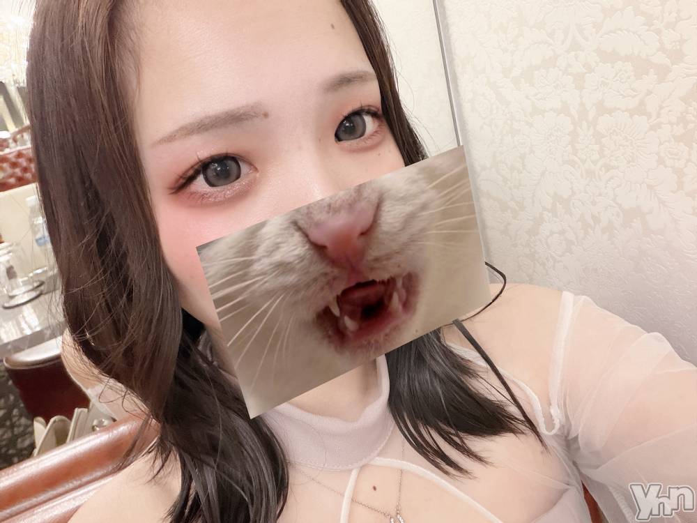 ���ܥ���Х��顦�����CLUB WONDER(����� ������) �椦���6��18���̥�֥�����😵‍💫⁉️��