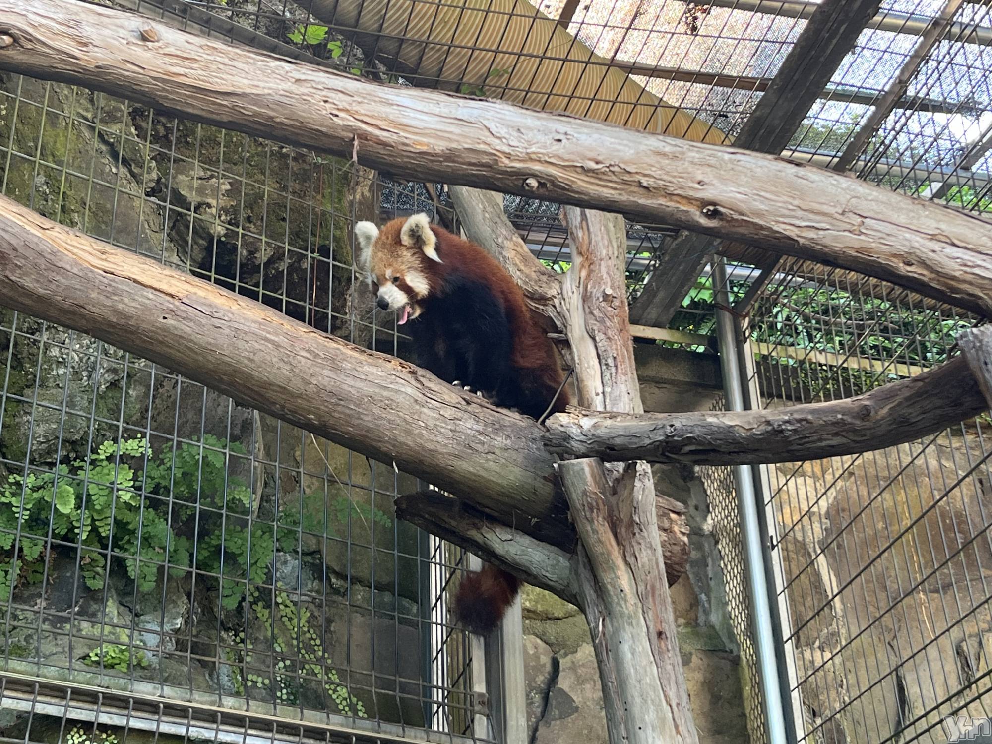 ���ܥ���Х��顦�����CLUB WONDER(����� ������) ��2025ǯ8��15���̥�֥�����🙇🏻‍��️��