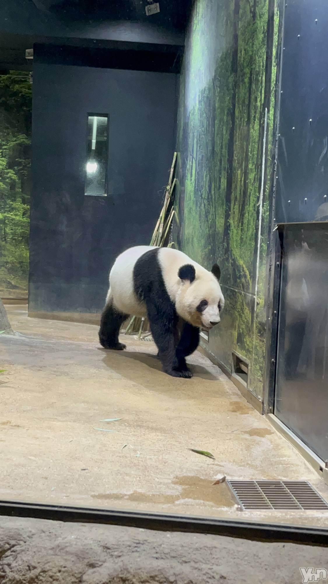 ���ܥ���Х��顦�����CLUB WONDER(����� ������) ��2025ǯ9��10���̥�֥����֤��Ф���