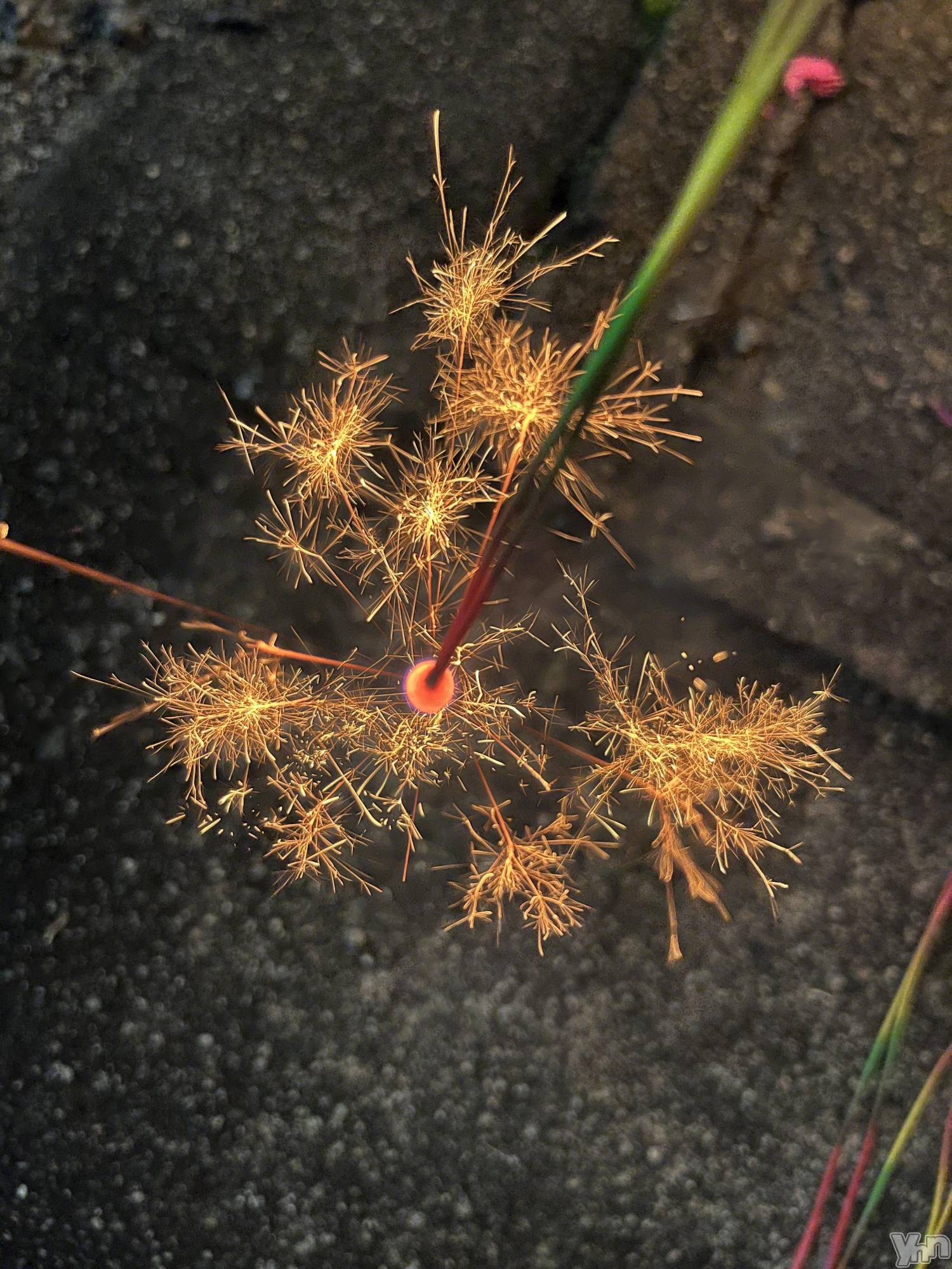 ���ܥ���Х��顦�����CLUB WONDER(����� ������) ��2025ǯ11��9���̥�֥���������ֲС�