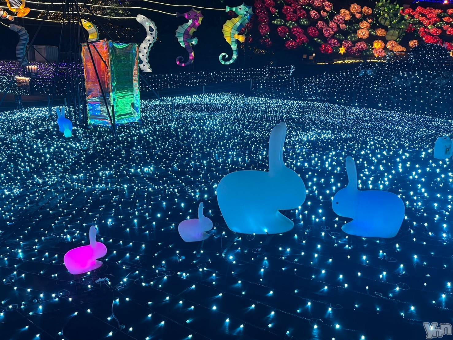 ���ܥ���Х��顦�����CLUB WONDER(����� ������) ��2025ǯ11��21���̥�֥����ֺ�����͡�