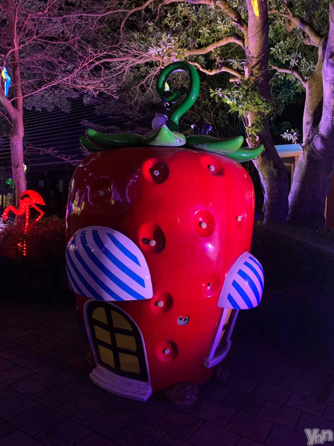 ���ܥ���Х��顦�����CLUB WONDER(����� ������) ��2025ǯ11��22���̥�֥����֤��ȣ�����