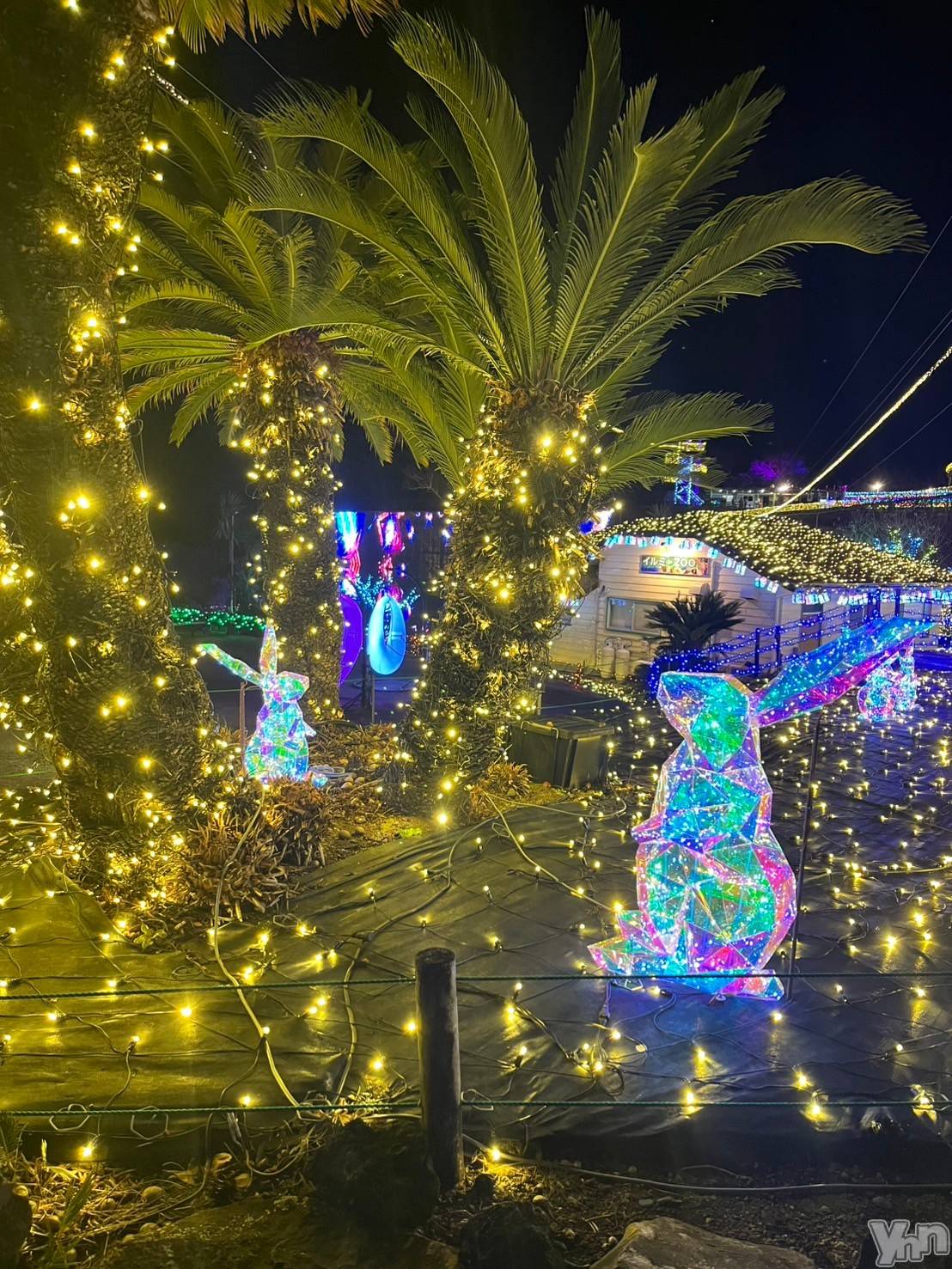 ���ܥ���Х��顦�����CLUB WONDER(����� ������) ��2025ǯ12��16���̥�֥������ܤ�❕��