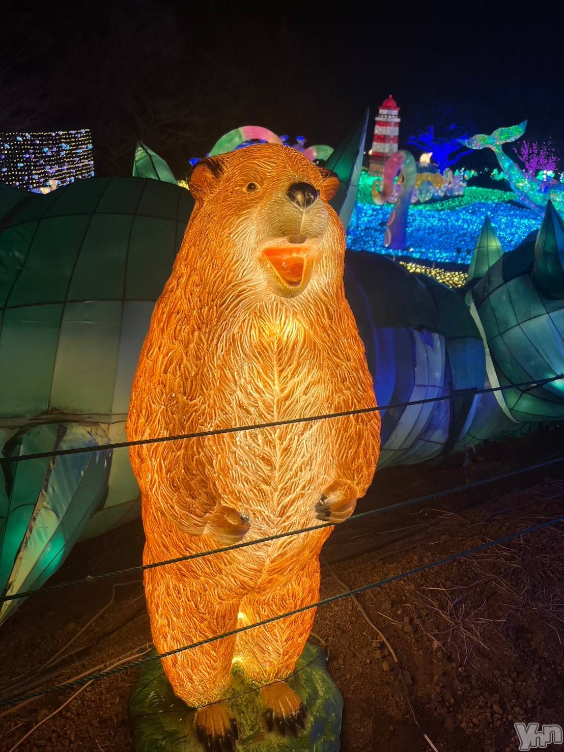 ���ܥ���Х��顦�����CLUB WONDER(����� ������) ��2025ǯ12��21���̥�֥����֤�����