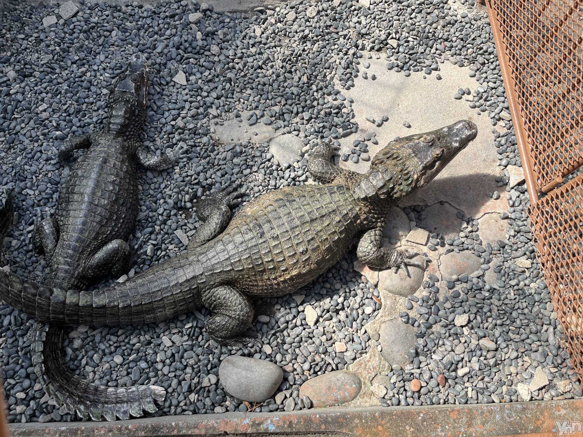 ���ܥ���Х��顦�����CLUB WONDER(����� ������) ��2025ǯ12��23���̥�֥�����✔️��