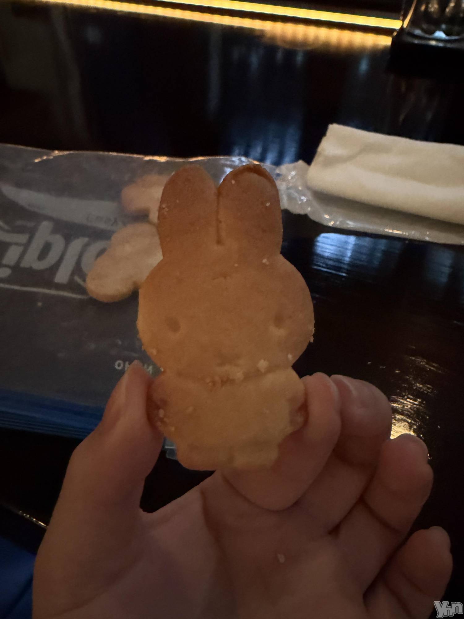 ���ܥ���Х��顦�����CLUB WONDER(����� ������) ��2026ǯ4��3���̥�֥������ܤ����椤��