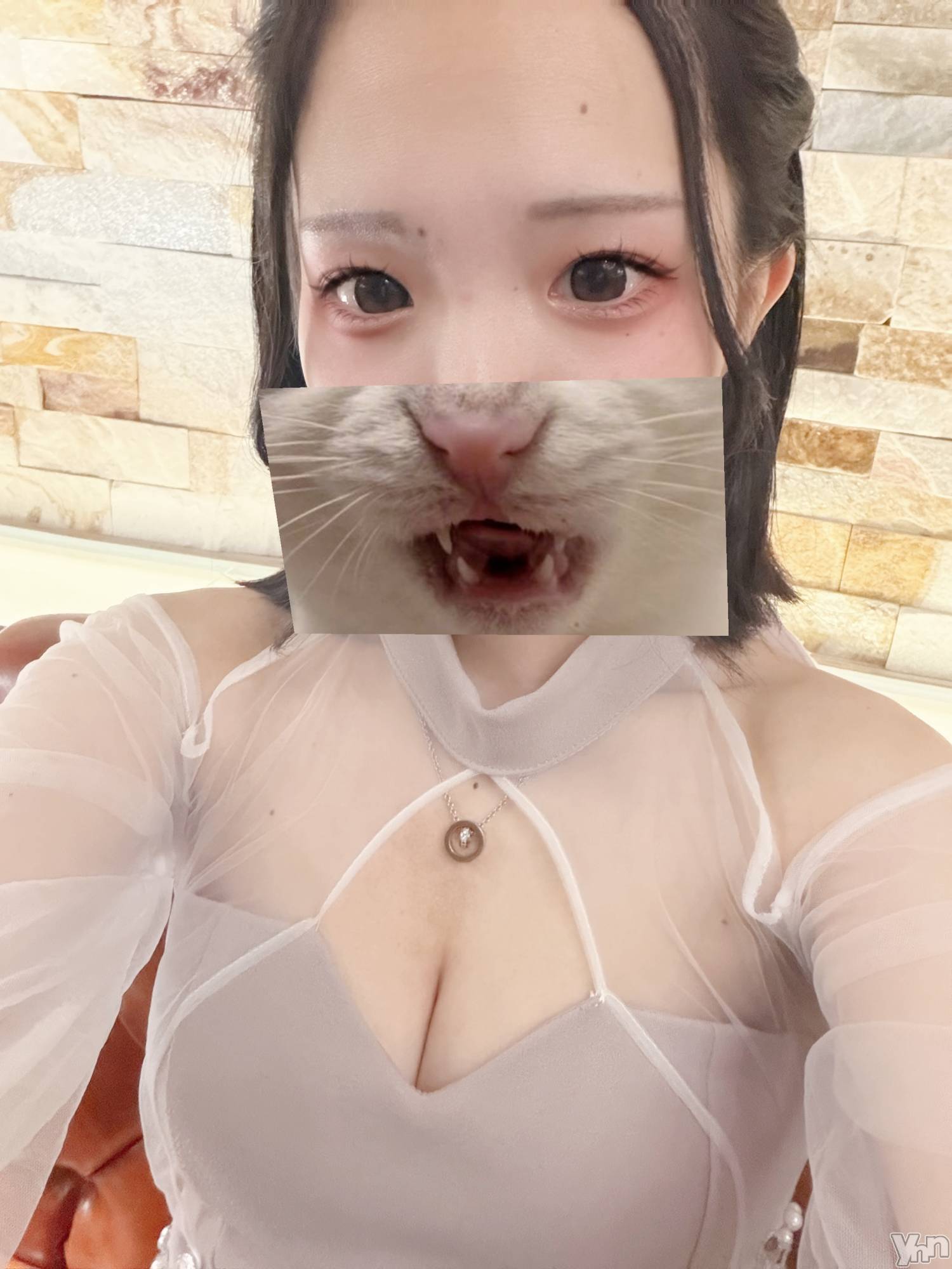 ���ܥ���Х��顦�����CLUB WONDER(����� ������) ��2026ǯ4��8���̥�֥�����😽��