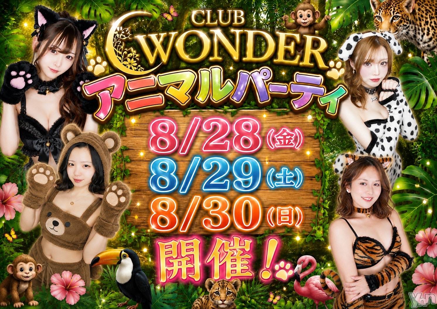���ܥ���Х��顦�����CLUB WONDER(����� ������) ��2026ǯ8��8���̥�֥�����🫣💖��