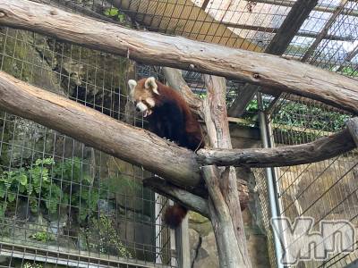 ���ܥ���Х��顦�����CLUB WONDER(����� ������) �椦��(24)��8��15���̥�֥�����🙇🏻‍��️��