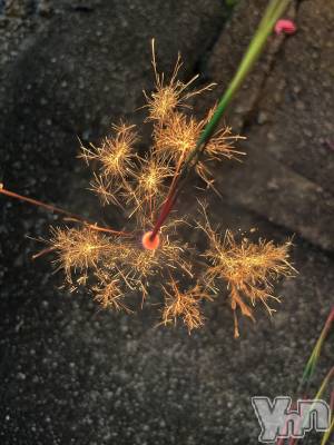 ���ܥ���Х��顦�����CLUB WONDER(����� ������) �椦��(24)��11��9���̥�֥���������ֲС�