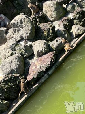 ���ܥ���Х��顦�����CLUB WONDER(����� ������) �椦��(24)��12��9���̥�֥����֤褯��������