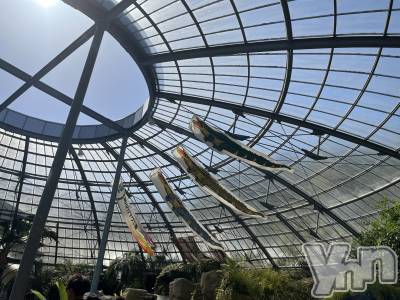 ���ܥ���Х��顦�����CLUB WONDER(����� ������) �椦��(24)��12��18���̥�֥�����🐾��