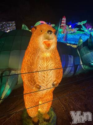 ���ܥ���Х��顦�����CLUB WONDER(����� ������) �椦��(24)��12��21���̥�֥����֤�����