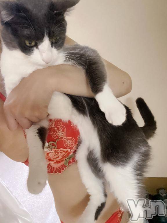 甲府デリヘル甲府人妻隊(コウフヒトヅマタイ) あゆ(47)の5月27日写メブログ「ฅ•ω•ฅにゃにゃ」