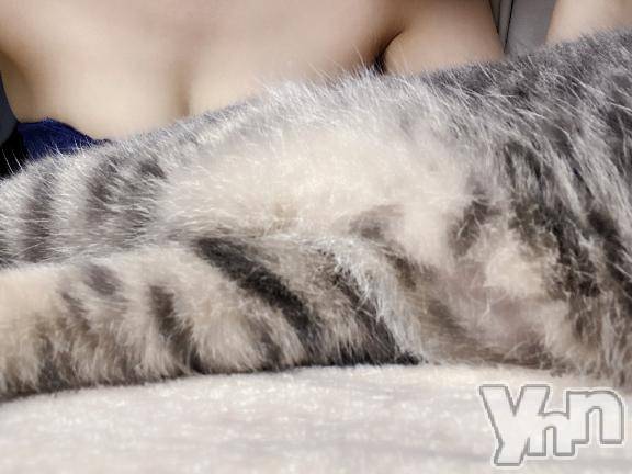 甲府デリヘル甲府人妻隊(コウフヒトヅマタイ) あゆ(47)の7月17日写メブログ「うちの僕ちゃん」