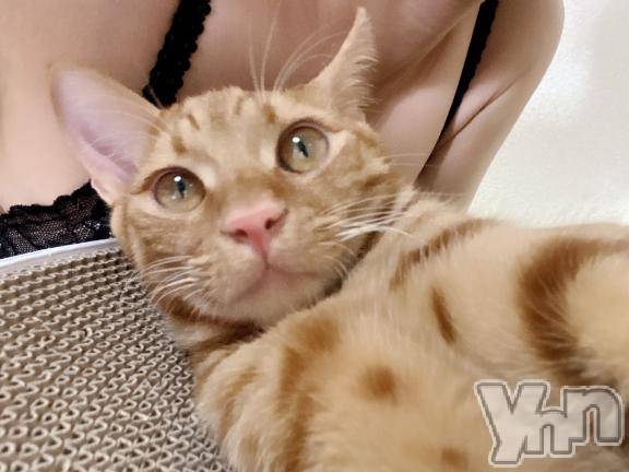 甲府デリヘル甲府人妻隊(コウフヒトヅマタイ)あゆ(47)の2025年10月22日写メブログ「御礼」