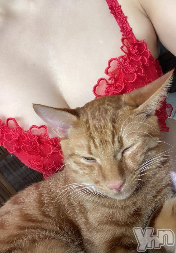 甲府デリヘル甲府人妻隊(コウフヒトヅマタイ)あゆ(47)の2025年11月16日写メブログ「御礼Chu」