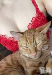 甲府デリヘル甲府人妻隊(コウフヒトヅマタイ) あゆ(47)の11月16日写メブログ「御礼Chu」