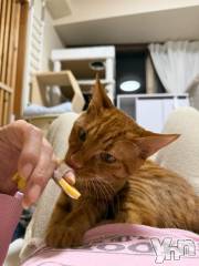 甲府デリヘル甲府人妻隊(コウフヒトヅマタイ) あゆ(47)の2月25日写メブログ「あめ～」