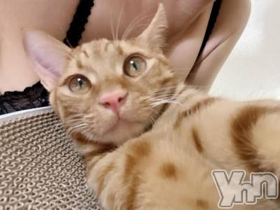 甲府デリヘル 甲府人妻隊(コウフヒトヅマタイ) あゆ(47)の10月22日写メブログ「御礼」