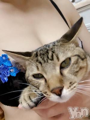 甲府デリヘル 甲府人妻隊(コウフヒトヅマタイ) あゆ(47)の11月1日写メブログ「霧('o')!!!」