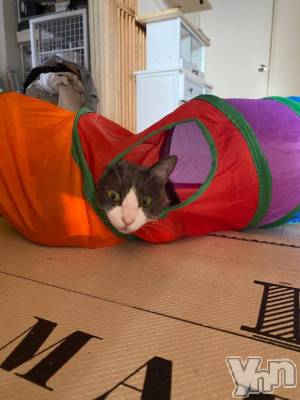 甲府デリヘル 甲府人妻隊(コウフヒトヅマタイ) あゆ(47)の11月27日写メブログ「(T . T)」