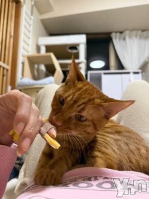 甲府デリヘル 甲府人妻隊(コウフヒトヅマタイ) あゆ(47)の2月25日写メブログ「あめ～」