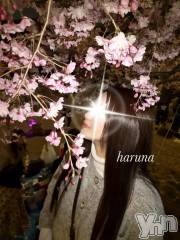 甲府ソープオレンジハウス はるな(24)の4月9日写メブログ「出会いと別れ🌸」