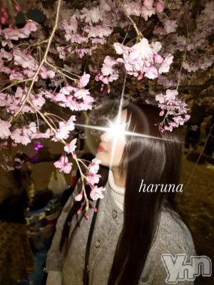 甲府ソープ オレンジハウス はるな(24)の4月9日写メブログ「出会いと別れ🌸」