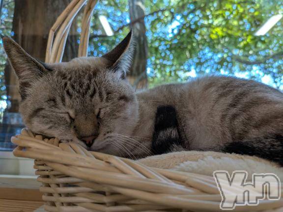 甲府ソープBARUBORA(バルボラ)うい(22)の2025年11月14日写メブログ「一旦おやすみです🙇‍♂️」