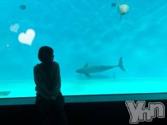 甲府ソープBARUBORA(バルボラ) うい(22)の12月18日写メブログ「御予約ありがとう🩷あと少し…🤭」