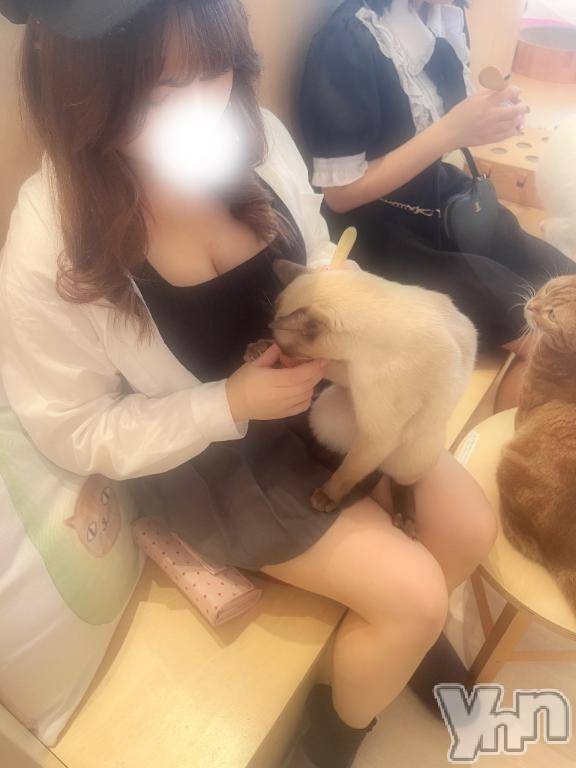 甲府ソープBARUBORA(バルボラ)うな(20)の2026年6月24日写メブログ「にゃんにゃん🐈🐾」