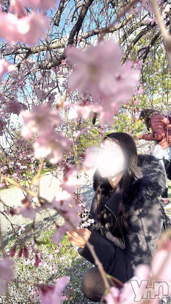 甲府ソープBARUBORA(バルボラ)かなえ(21)の2026年4月11日写メブログ「先行予約開始💖」