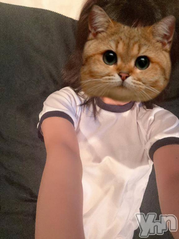 甲府ソープBARUBORA(バルボラ) ねこ(20)の6月8日写メブログ「にゃんにゃんにゃにゃーん」