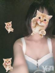 甲府ソープBARUBORA(バルボラ) ねこ(20)の12月9日写メブログ「出勤⭐️」