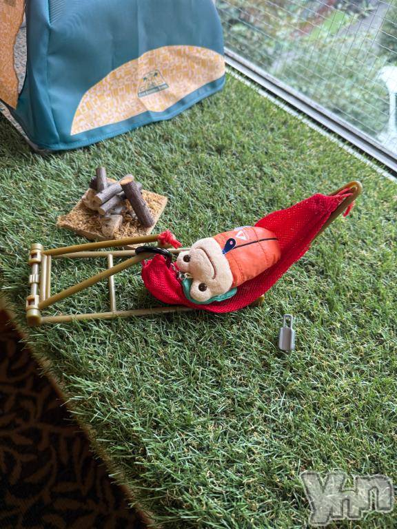 甲府ソープBARUBORA(バルボラ) みつき【地元新人】(22)の3月13日写メブログ「旅行中✈️」