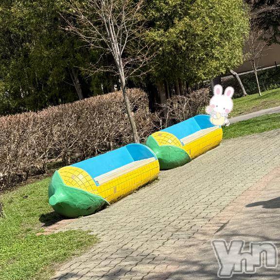 甲府ソープBARUBORA(バルボラ) みつき【地元新人】(22)の5月5日写メブログ「Fさま」