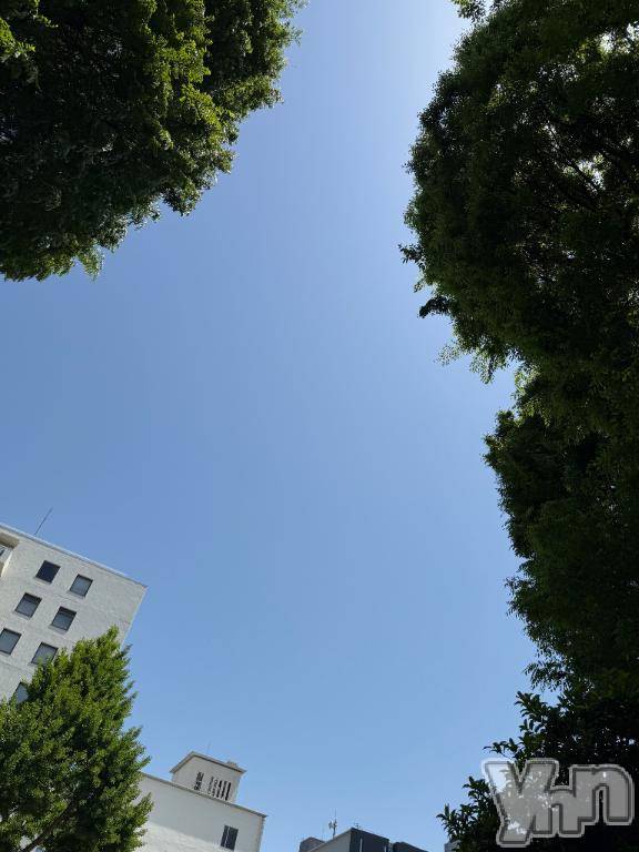 甲府ソープBARUBORA(バルボラ)みつき【地元新人】(22)の2025年5月5日写メブログ「Nさま」