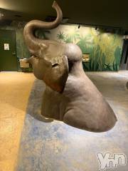 甲府ソープBARUBORA(バルボラ) みつき【地元新人】(22)の5月3日写メブログ「Fさま」