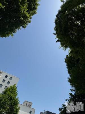 甲府ソープ BARUBORA(バルボラ) みつき【地元新人】(22)の5月5日写メブログ「Nさま」