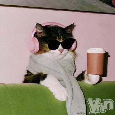 甲府デリヘル 甲府人妻城(コウフヒトヅマジョウ) しおり(27)の11月5日写メブログ「出勤しました！」