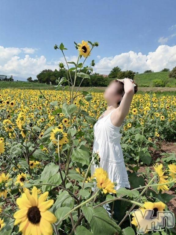 甲府ソープBARUBORA(バルボラ) みさき(24)の8月25日写メブログ「🌷先行予約ありがとうございます💗」