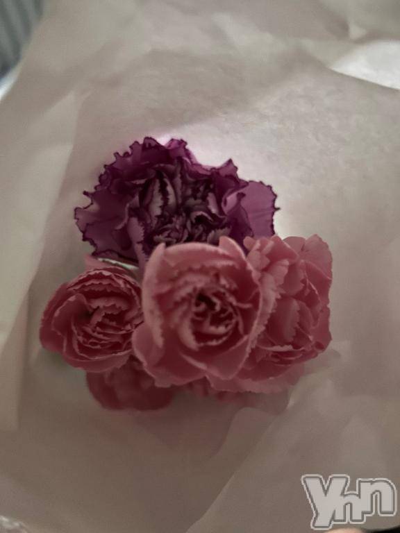 甲府ソープオレンジハウス のあ(19)の3月16日写メブログ「初😂」