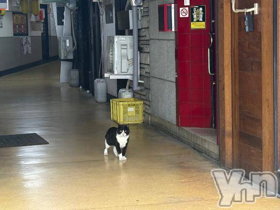 甲府ソープオレンジハウスすみれ(26)の2026年8月11日写メブログ「🤍3日目ありがとう🤍」